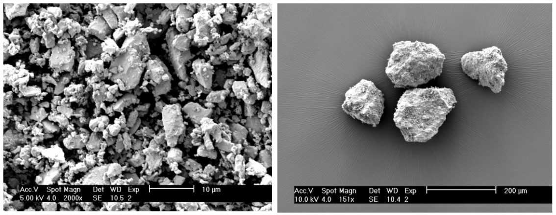 microscope capture of fine lactose (A) and coarse lactose particles (B)